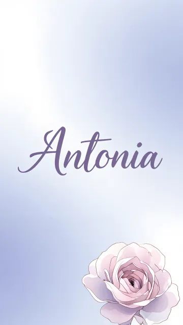 Antonia diseño 5 - Nombre en elegante tipografía cursiva caligráfica en tono lavanda, sobre fondo acuarela de cielo nublado en tonos pastel (azul, blanco, lavanda), decorado con rosa en acuarela de pétalos rosa pálido, blanco crema y lilas suaves con hojas en gris-verde.
